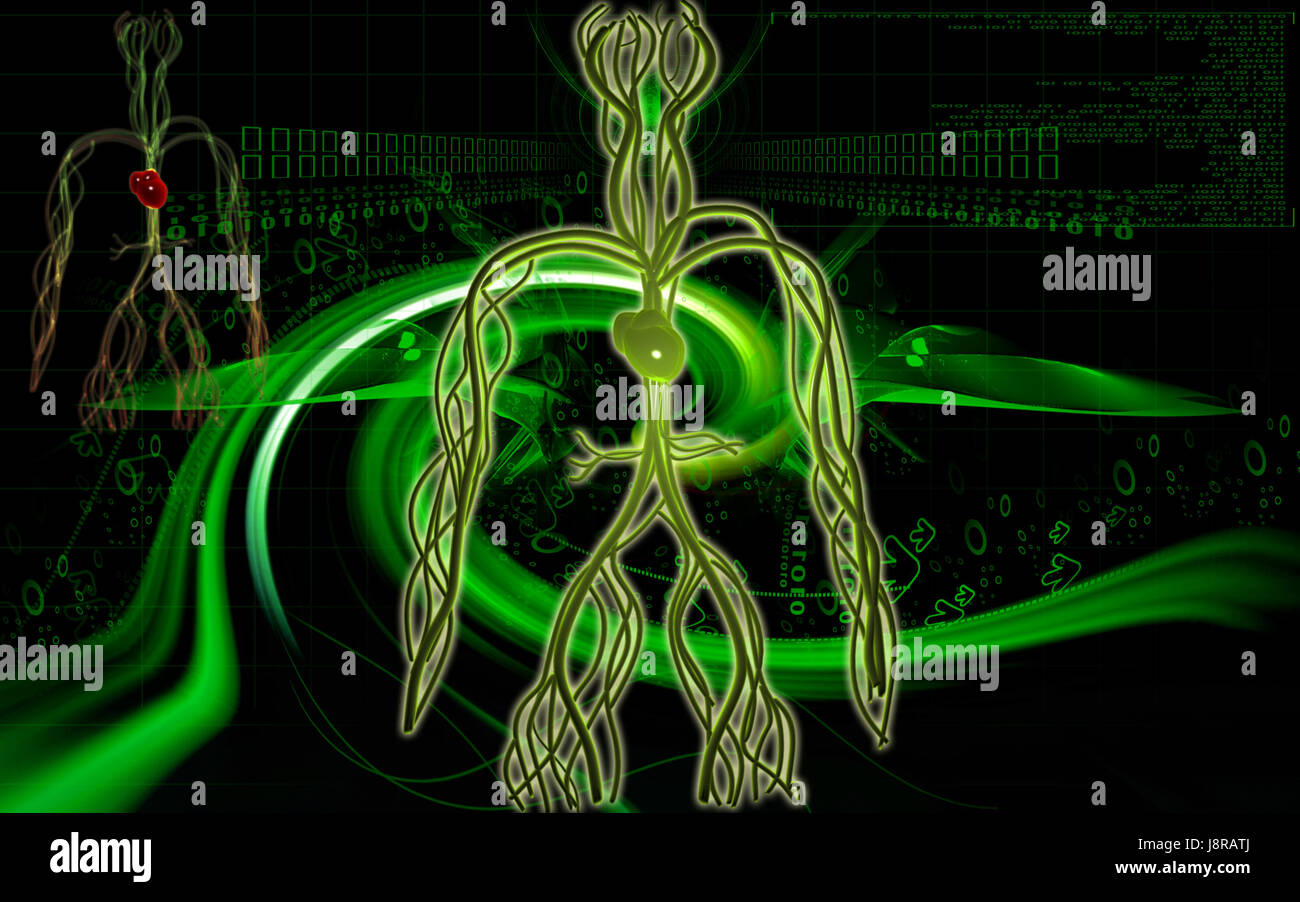 Circulation Graphics object, education, circulation, graphics, colour, human, human being ...