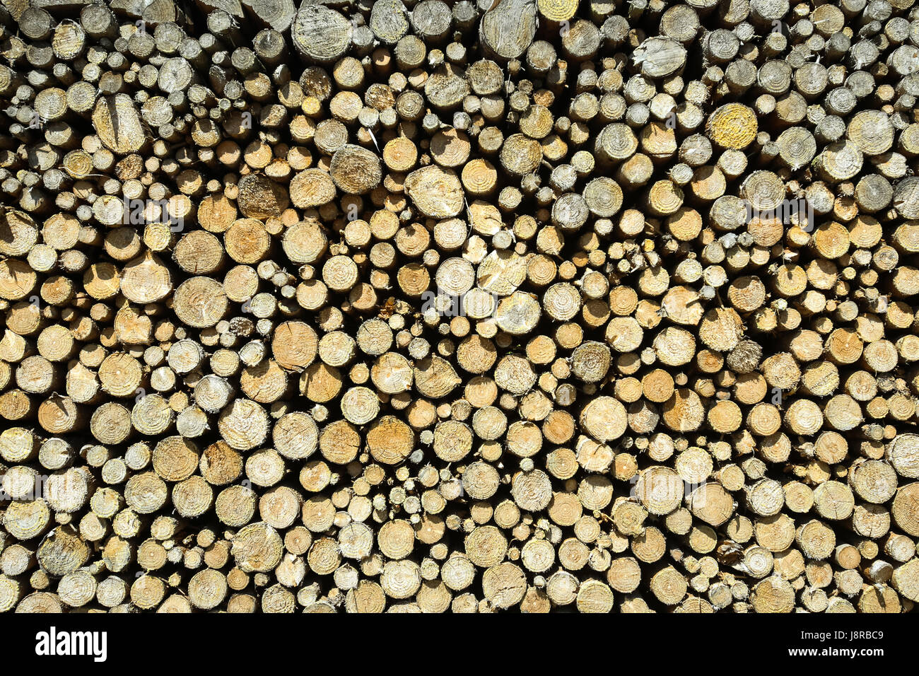 A stack of chopped fire wood Stock Photo - Alamy