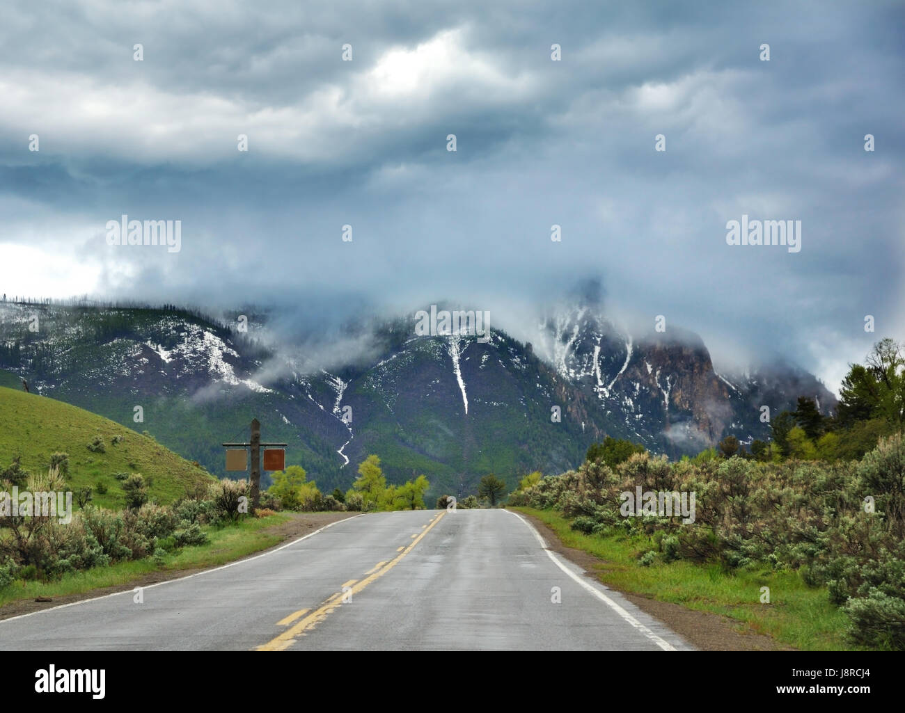 tree, mountains, snow, coke, cocaine, material, drug, anaesthetic ...