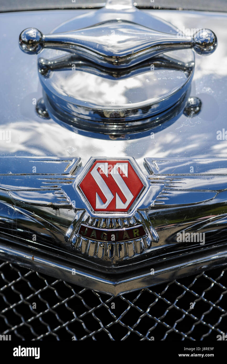 Bonnet radiator badge on SS Jaguar 100 sports car Stock Photo