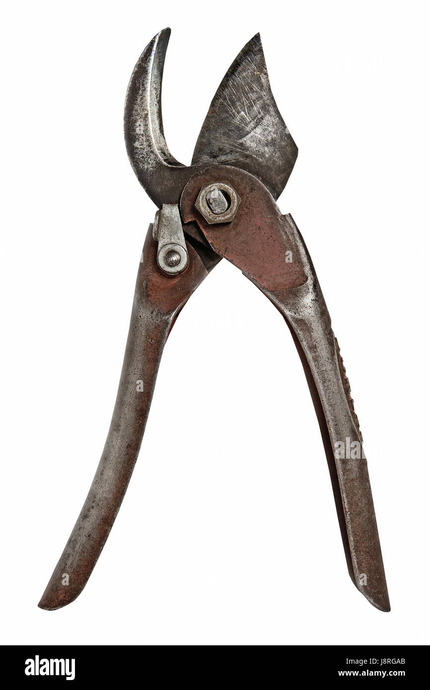 Antique Dirty Rusty Metal Cutting Shears Stock Photo - Download