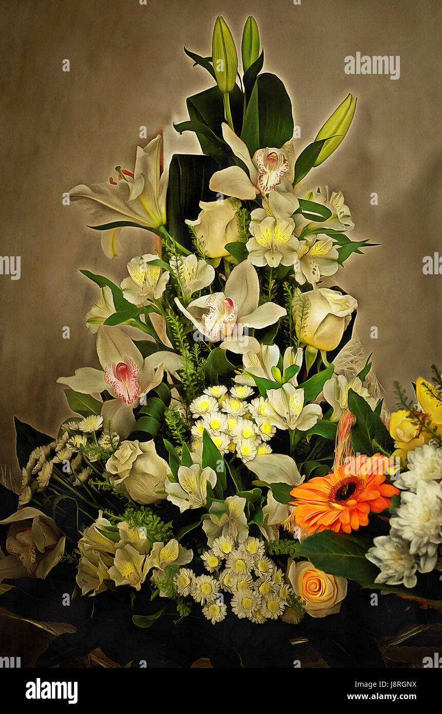 Illustrations flowers bouquet,  painting Gerbera (Latin Gerbera), Chrysanthemum,white lilies, orchids Stock Photo
