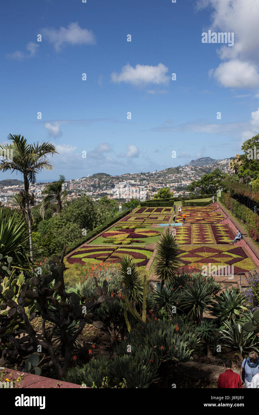 The Botanical Gardens in Funchal. Madeira, Portugal Stock Photo Alamy