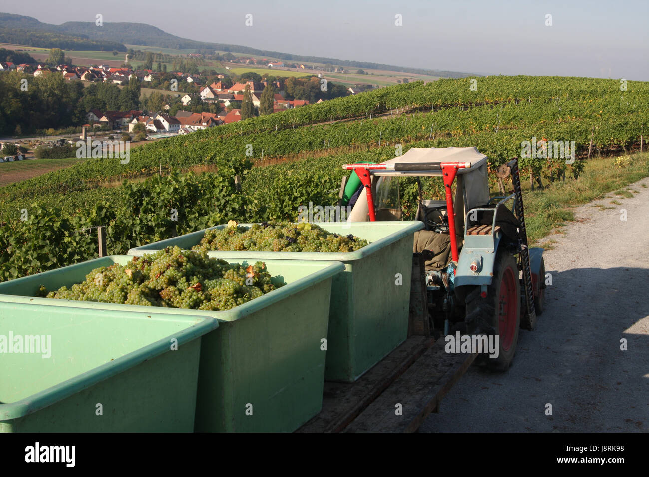 grapes, vintage, cultivation of wine, vineyard, tractor, vine, grape vine, Stock Photo