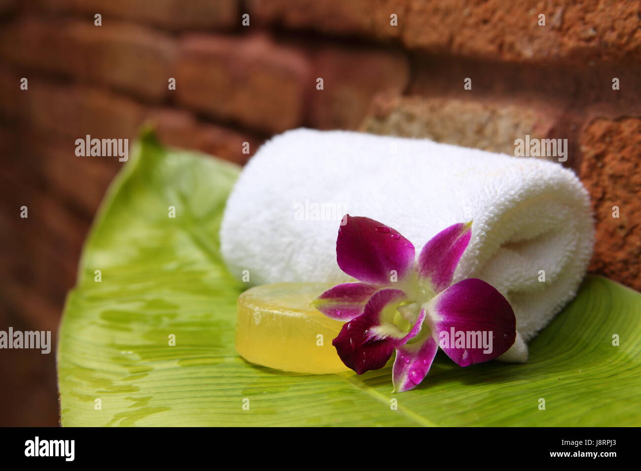 flower, plant, bloom, blossom, flourish, flourishing, towel, soap, spa, mineral Stock Photo