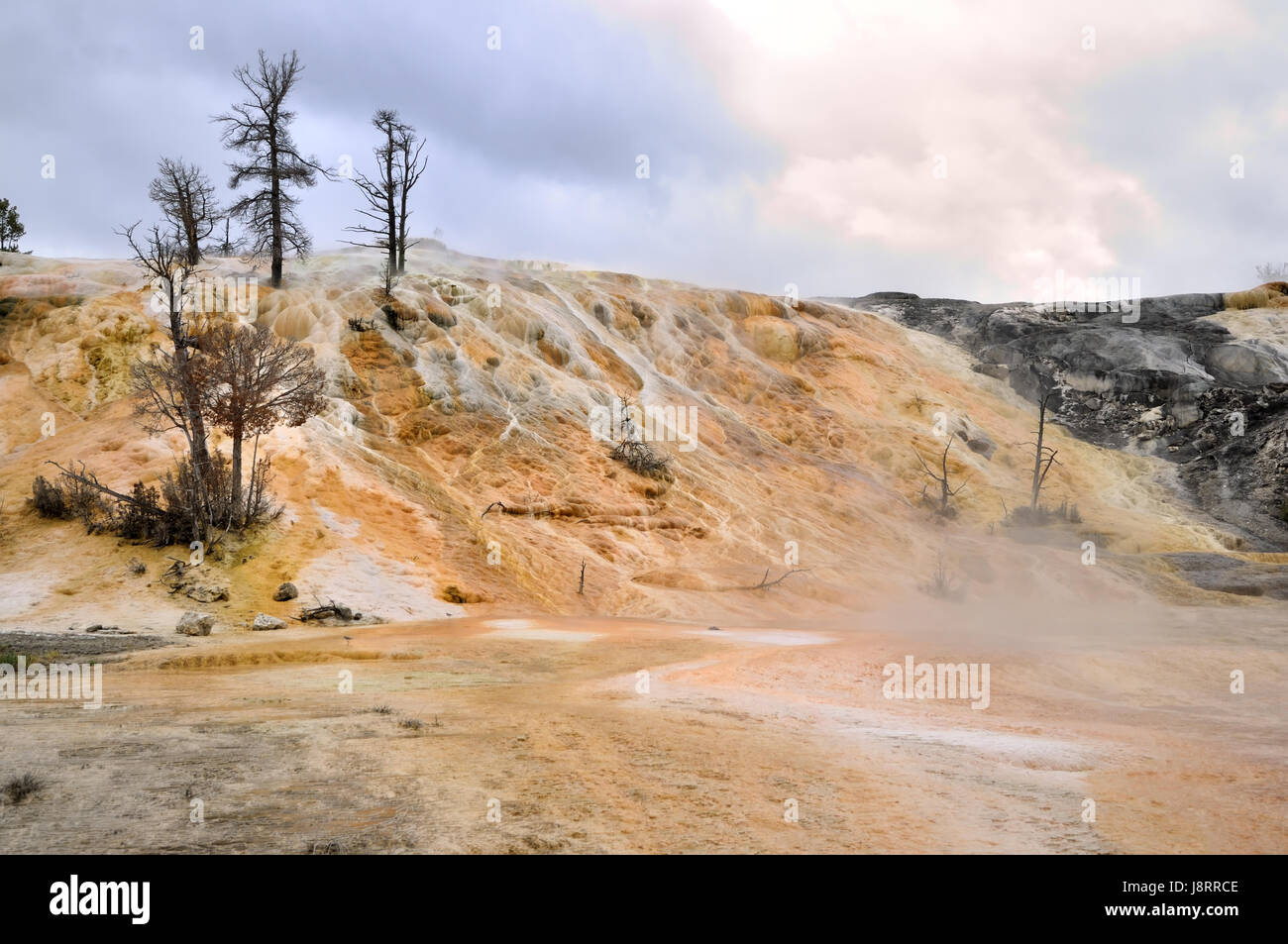 spring, bouncing, bounces, hop, skipping, frisks, jumping, jump ...