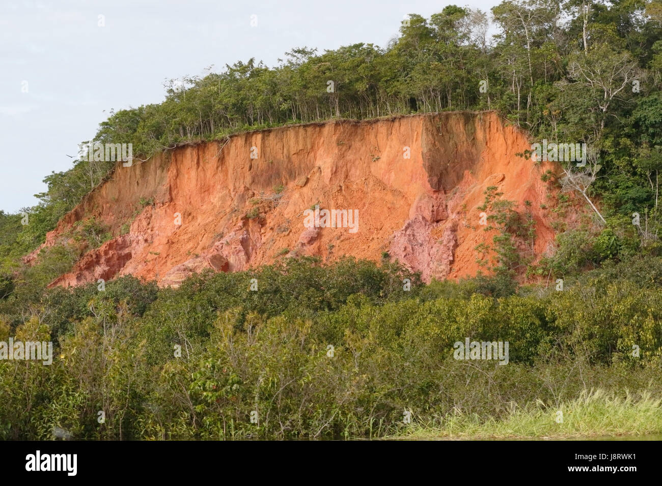 river Amazon showing river bank with soil erosion Stock Photo