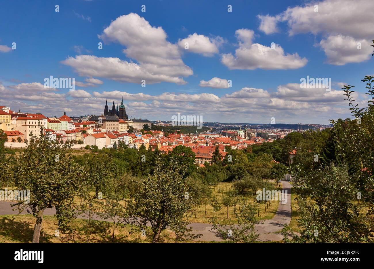 View of the Prague castle from Petrin park Stock Photo