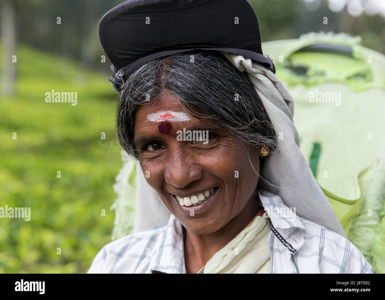 Portrait of Tamil Tea Picker at Lipton's Seat, Haputale Sri Lanka Stock Photo
