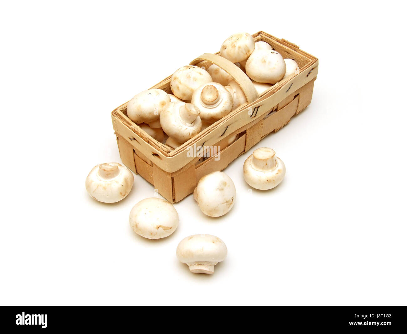 mushrooms (agaricus bisporus) Stock Photo
