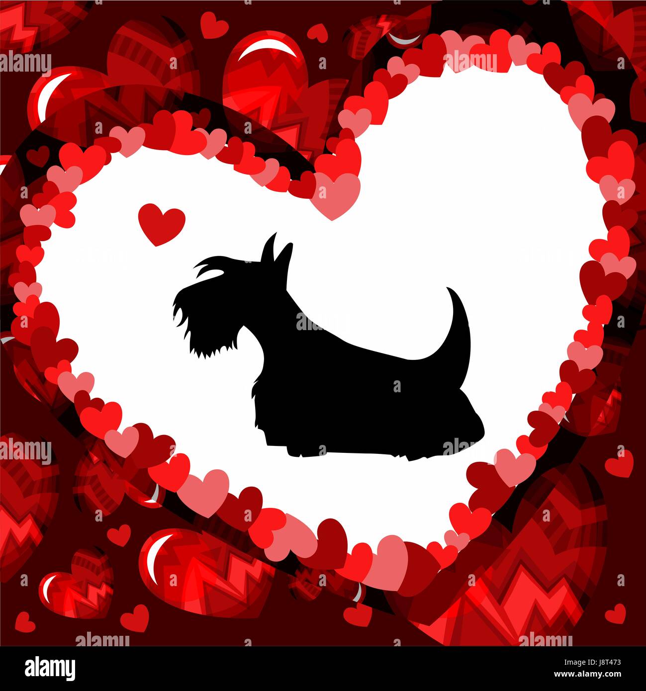Accueil - Elevage Of Itty's Cottage - eleveur de chiens Scottish Terrier