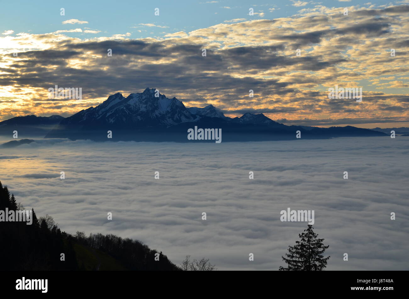 fog, evening tendency, sight, view, outlook, perspective, vista, panorama, Stock Photo