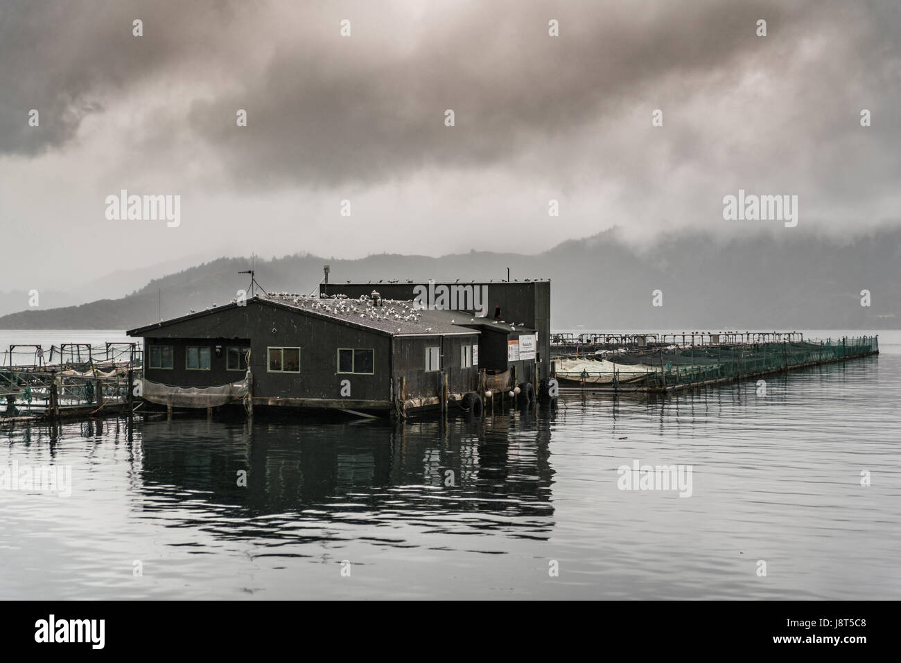 Picton, New Zealand March 12, 2017 King Salmon farm in Ruakaka Bay