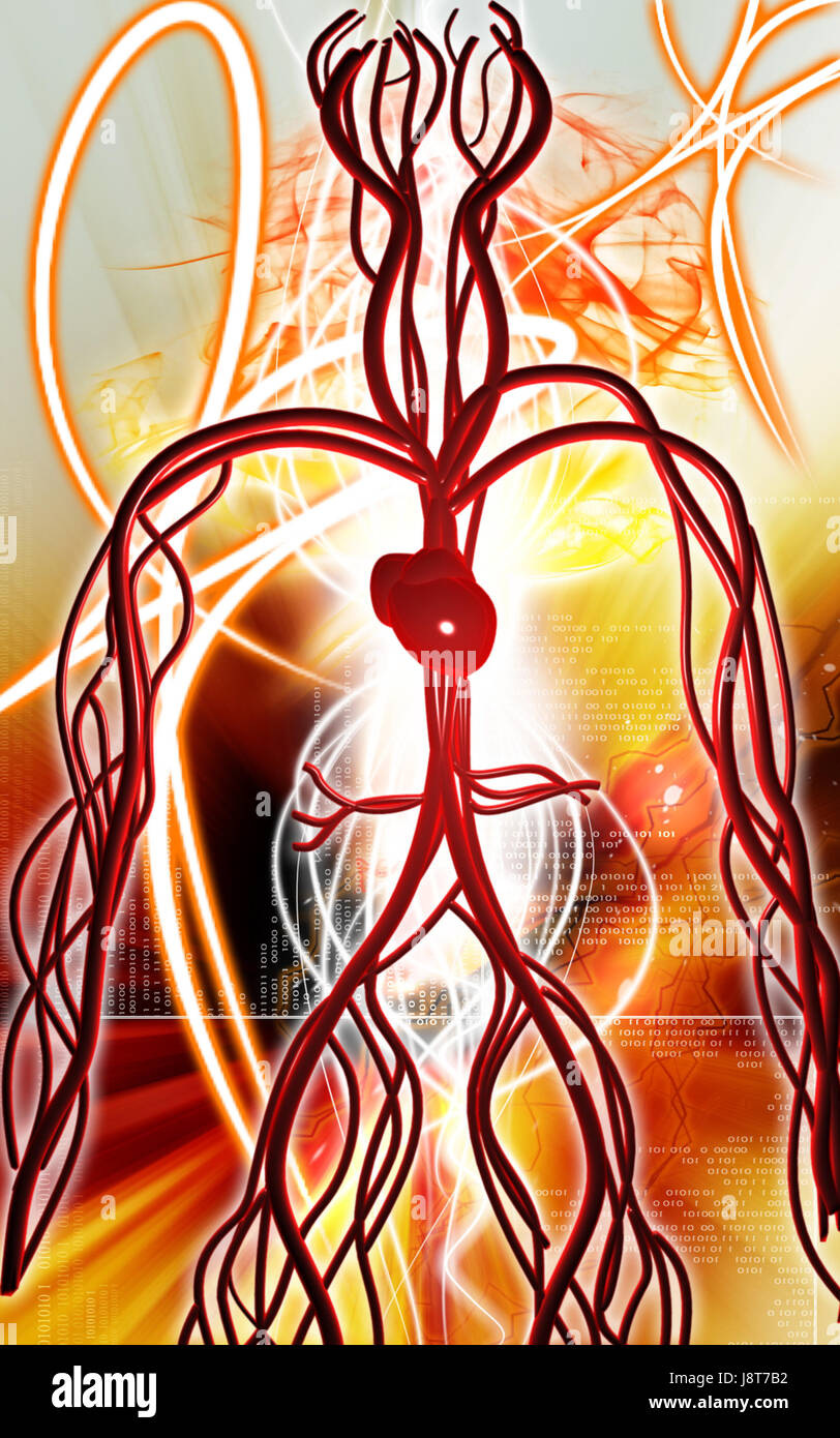 Circulation Graphics object, education, circulation, graphics, colour, human, human being ...