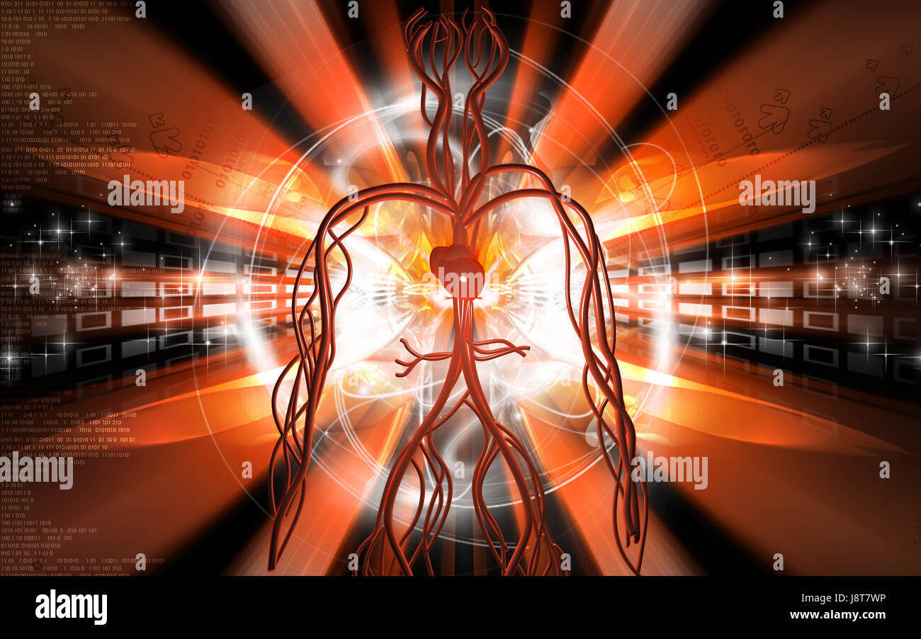 Circulation Graphics object, education, circulation, graphics, colour, human, human being ...