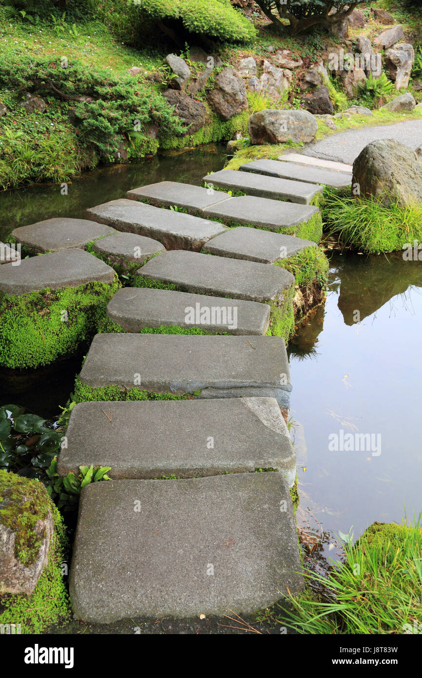 Zen Way