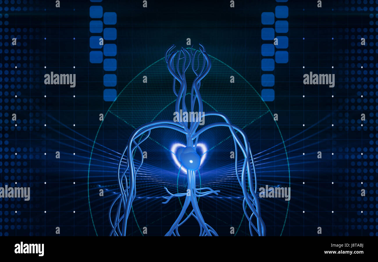 Circulation Graphics object, education, circulation, graphics, colour, human, human being ...