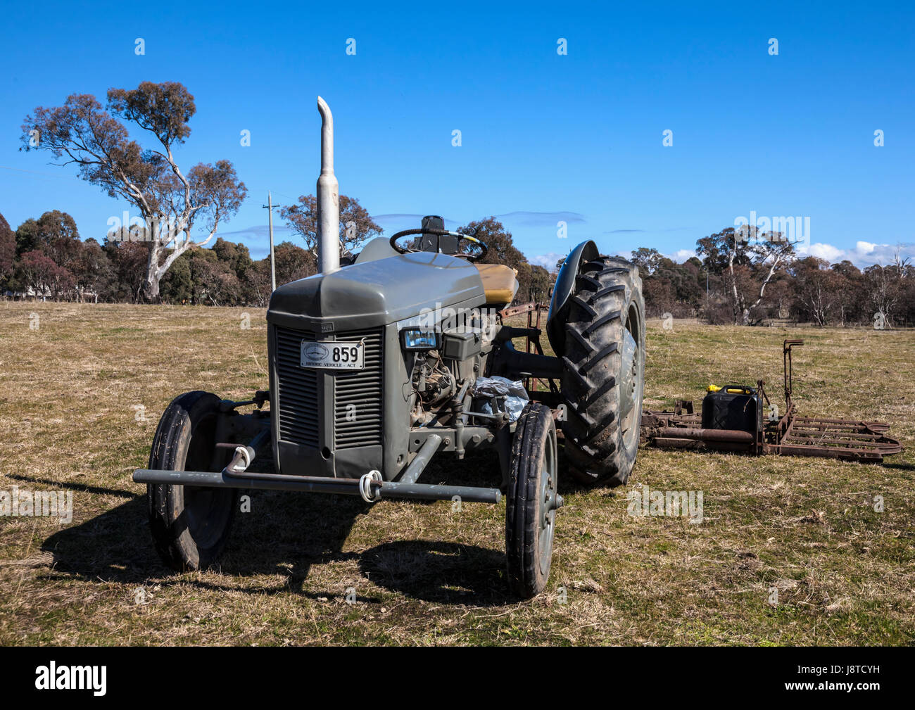 Little Grey Fergie tractor in field with blue sky Stock Photo