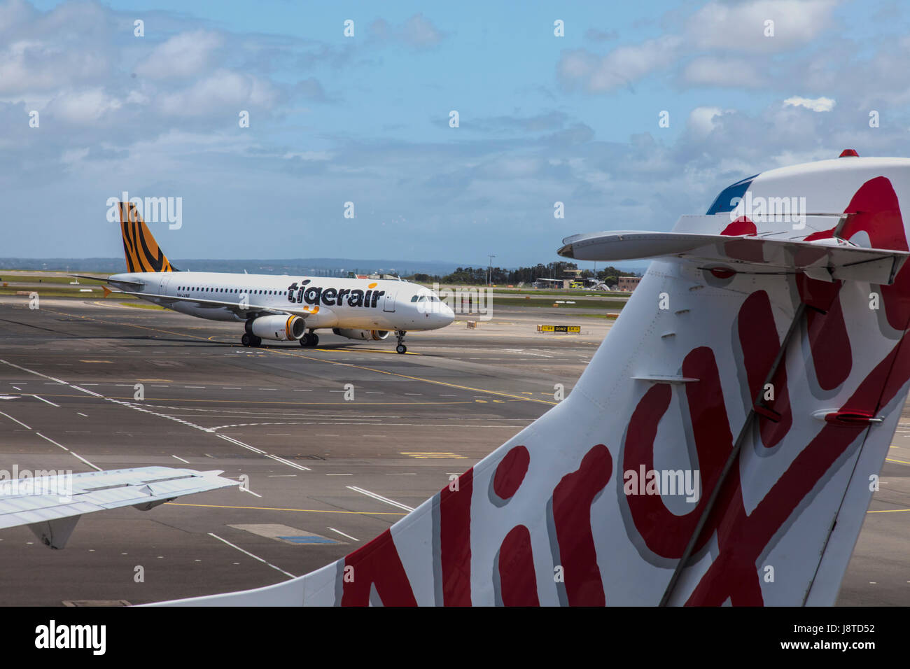 Tigerair jet taxiing at Hobart airport framed by Virgin Australia airliner Stock Photo
