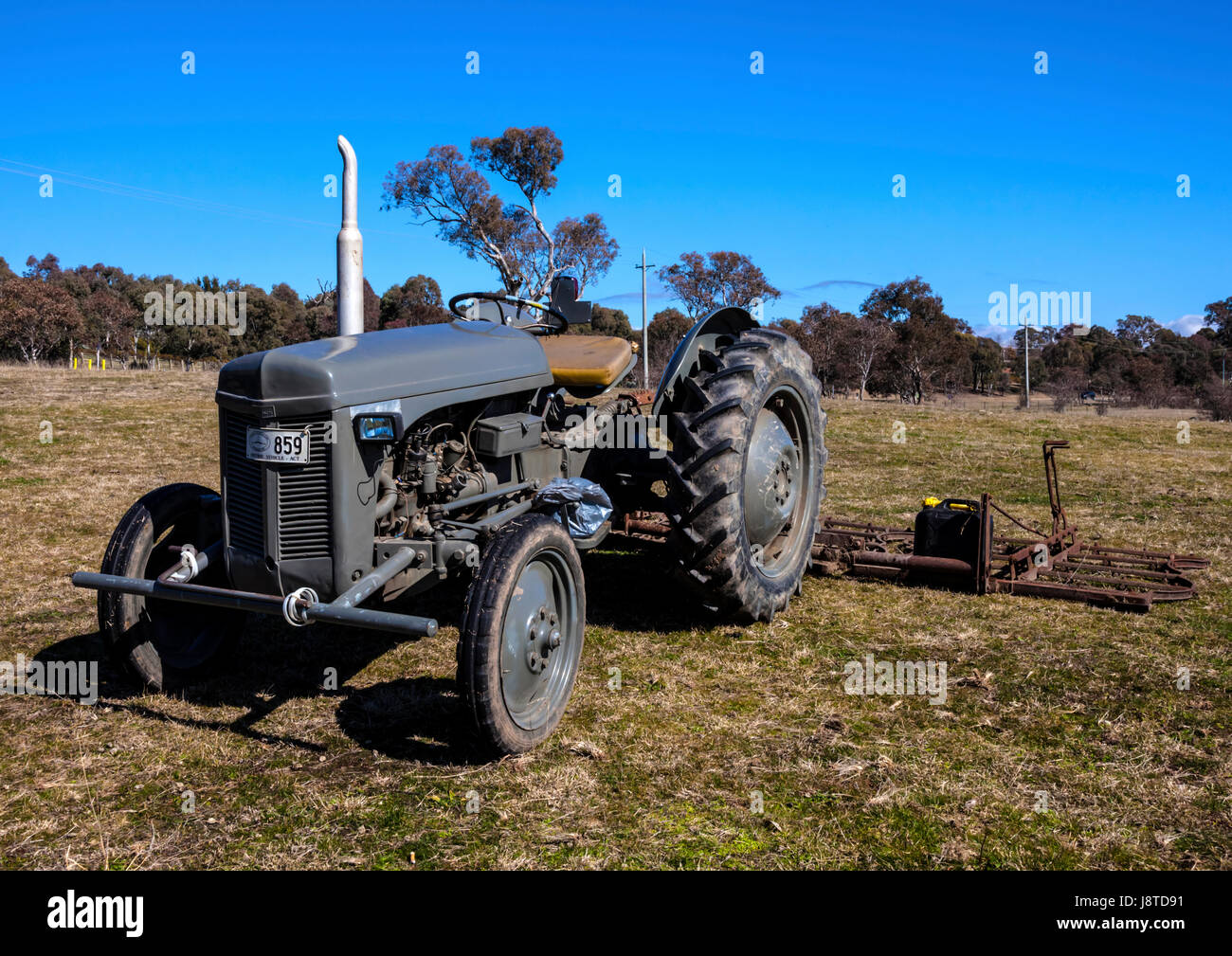 Vintage Ferguson grey tractor Stock Photo
