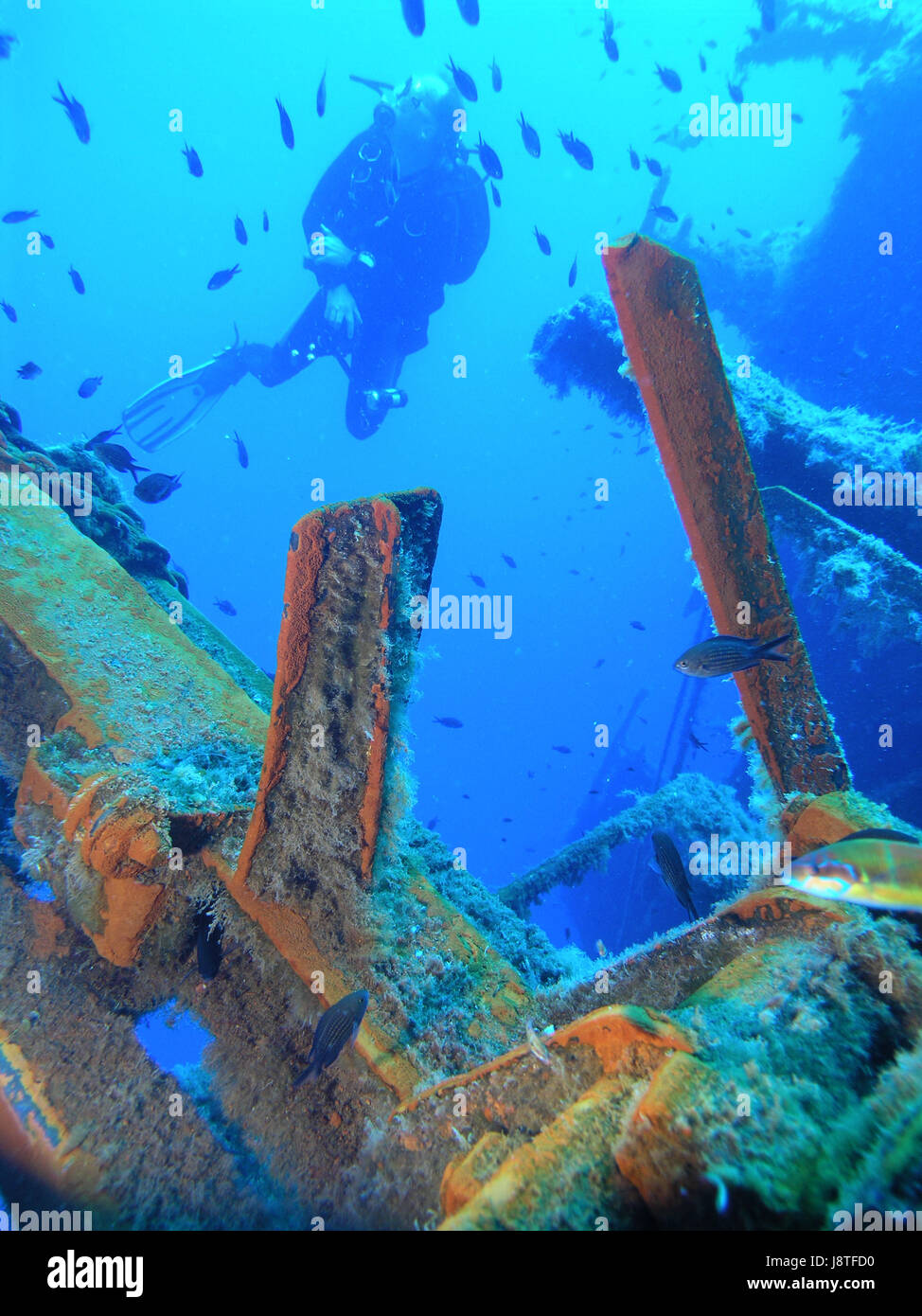 water, mediterranean, salt water, sea, ocean, chain, underwater, rust