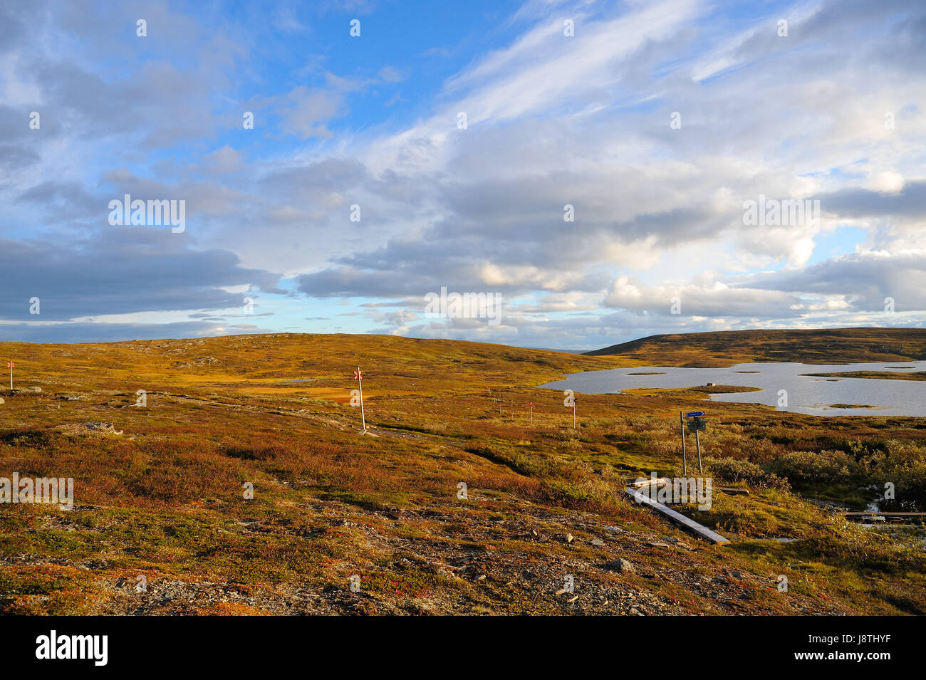 sweden, glacier, tundra, sunset, width, sweden, evening, loneliness, cloudy, Stock Photo