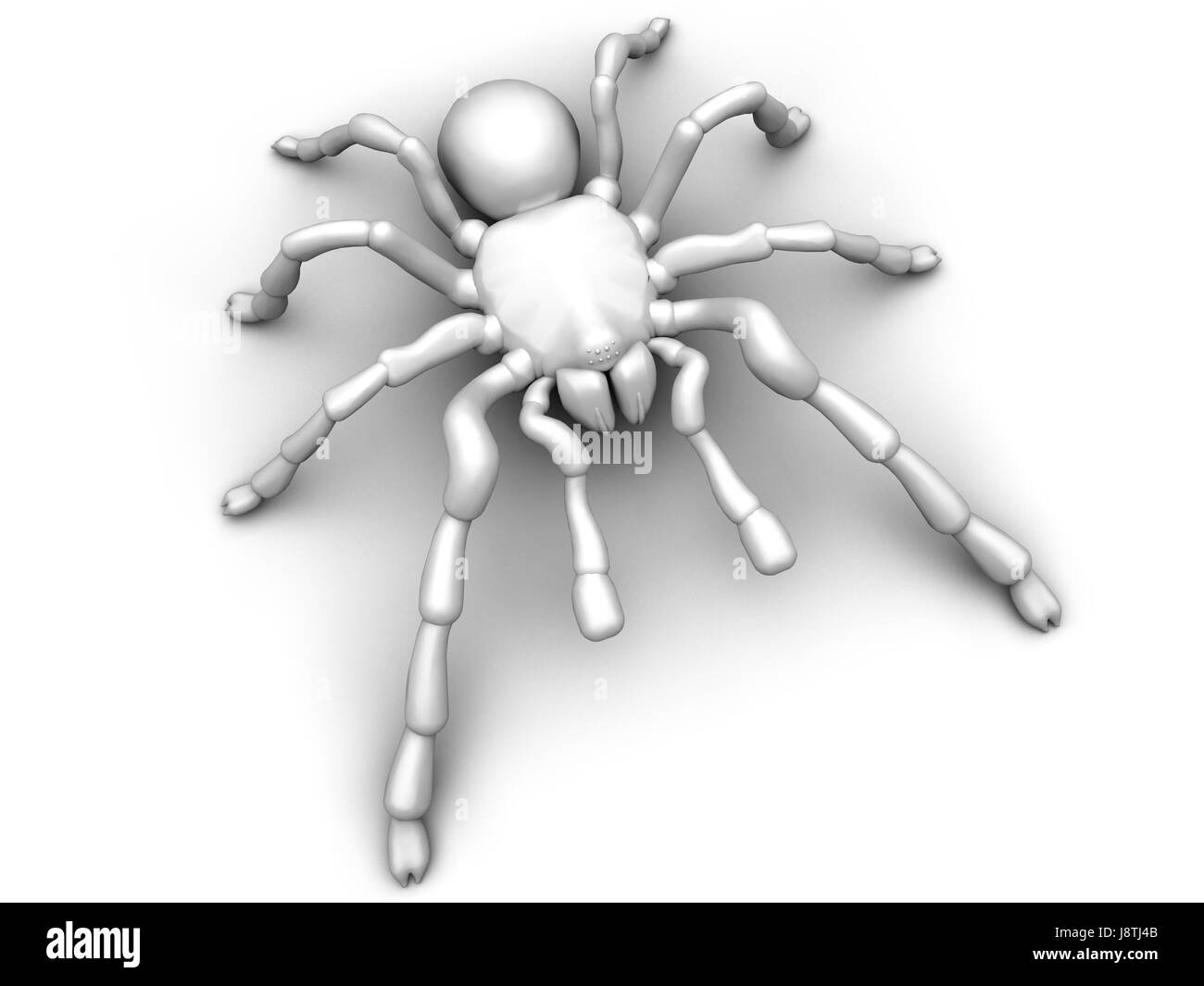 spider, tarantula, legs, humans, human beings, people, folk, persons, human  Stock Photo - Alamy
