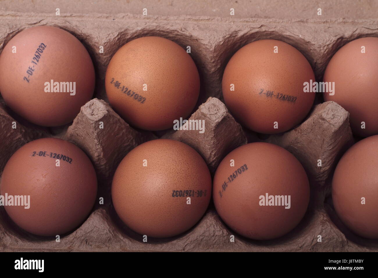 egg, eggs, ultimate consumer, egg, eggs, ultimate consumer, haltbarkeitsdatum, Stock Photo