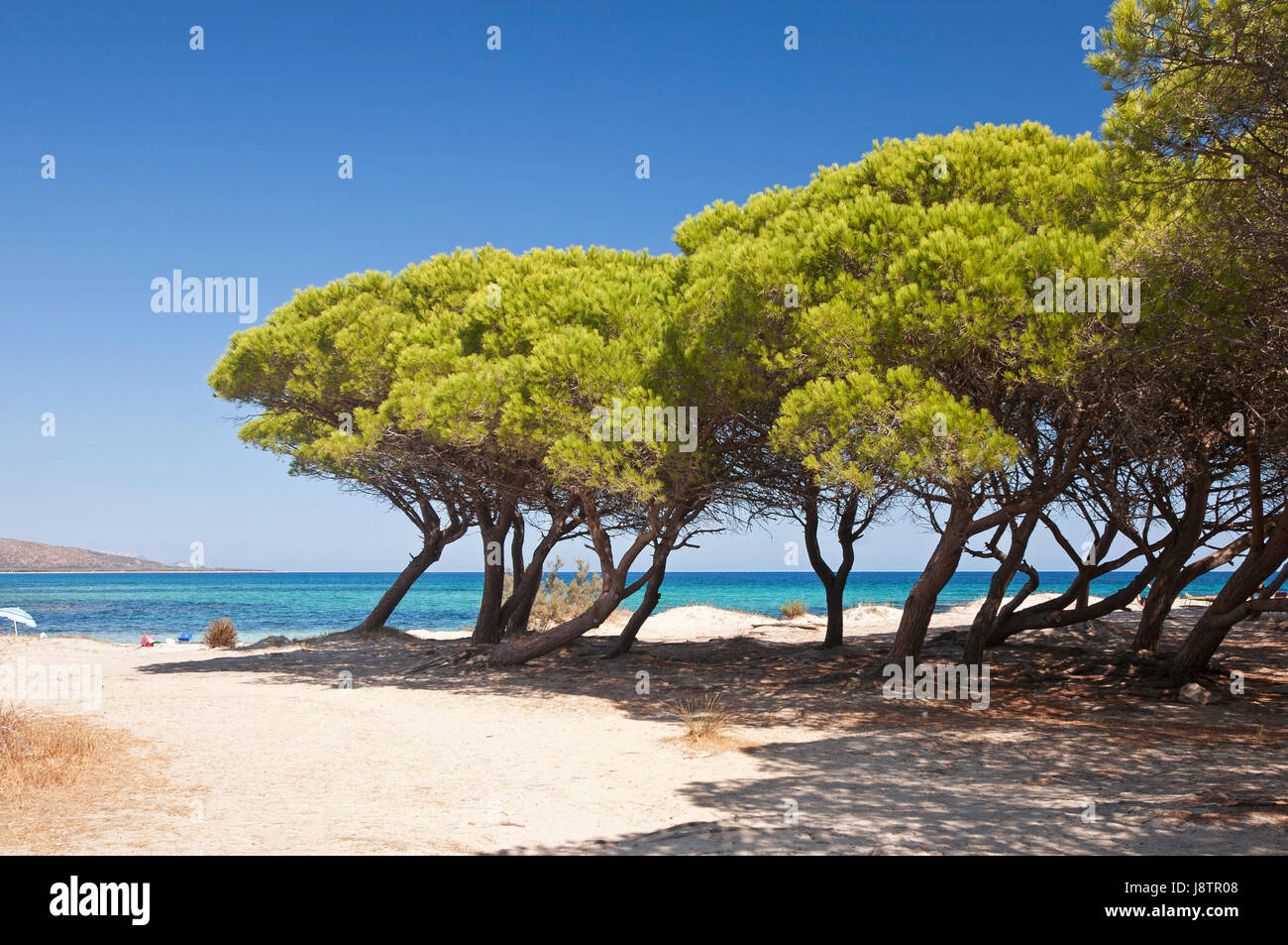 beach, seaside, the beach, seashore, water, mediterranean, salt water