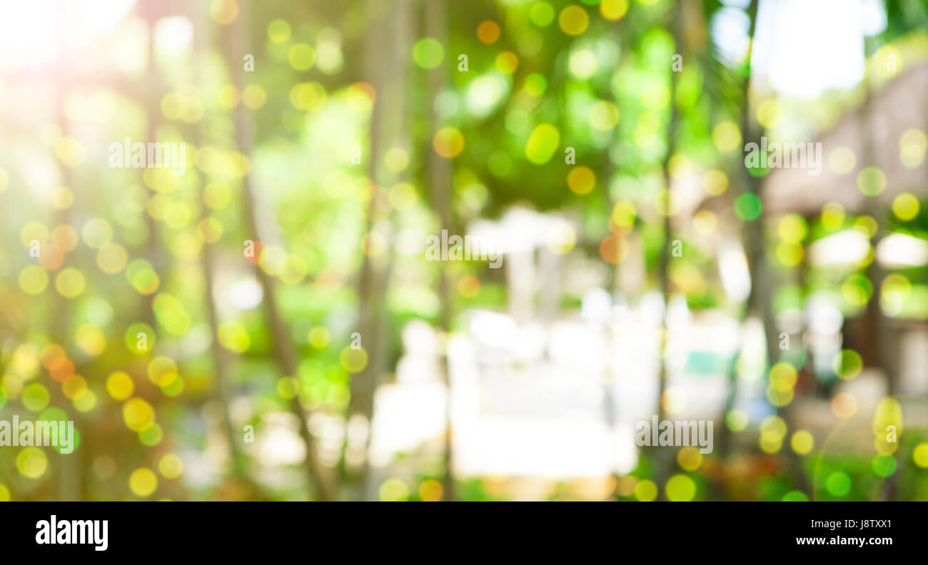 Tropical, vacation, summer blurred background Stock Photo - Alamy, image size:1300x792