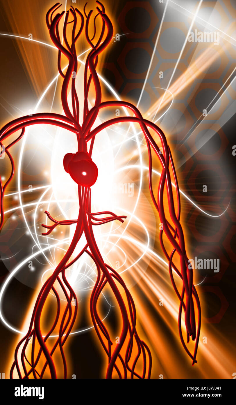 Circulation Graphics object, education, circulation, graphics, colour, human, human being ...