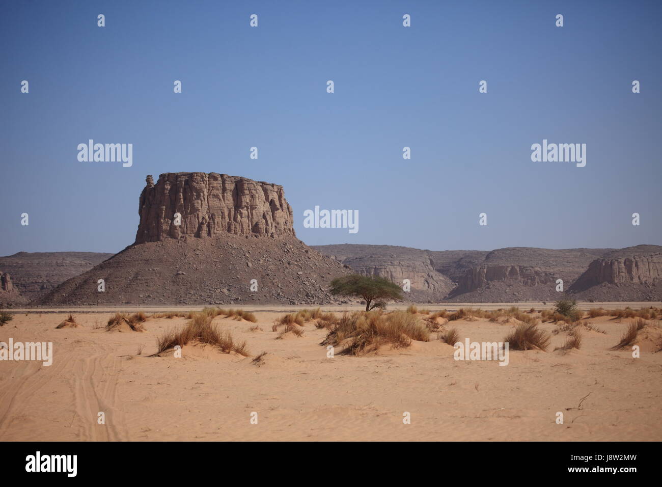 Naturphotos High Resolution Stock Photography and Images - Alamy