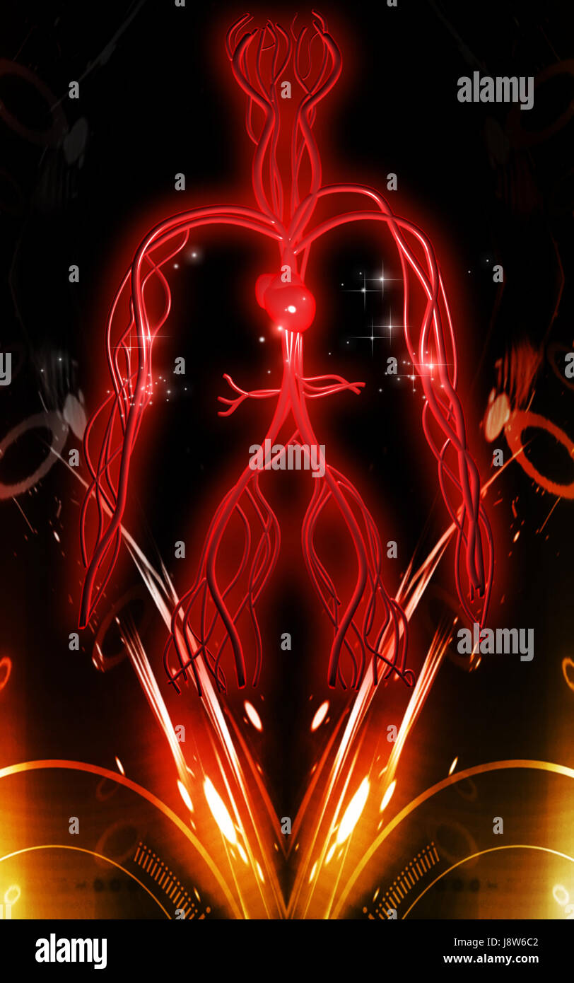 Circulation Graphics object, education, circulation, graphics, colour, human, human being ...