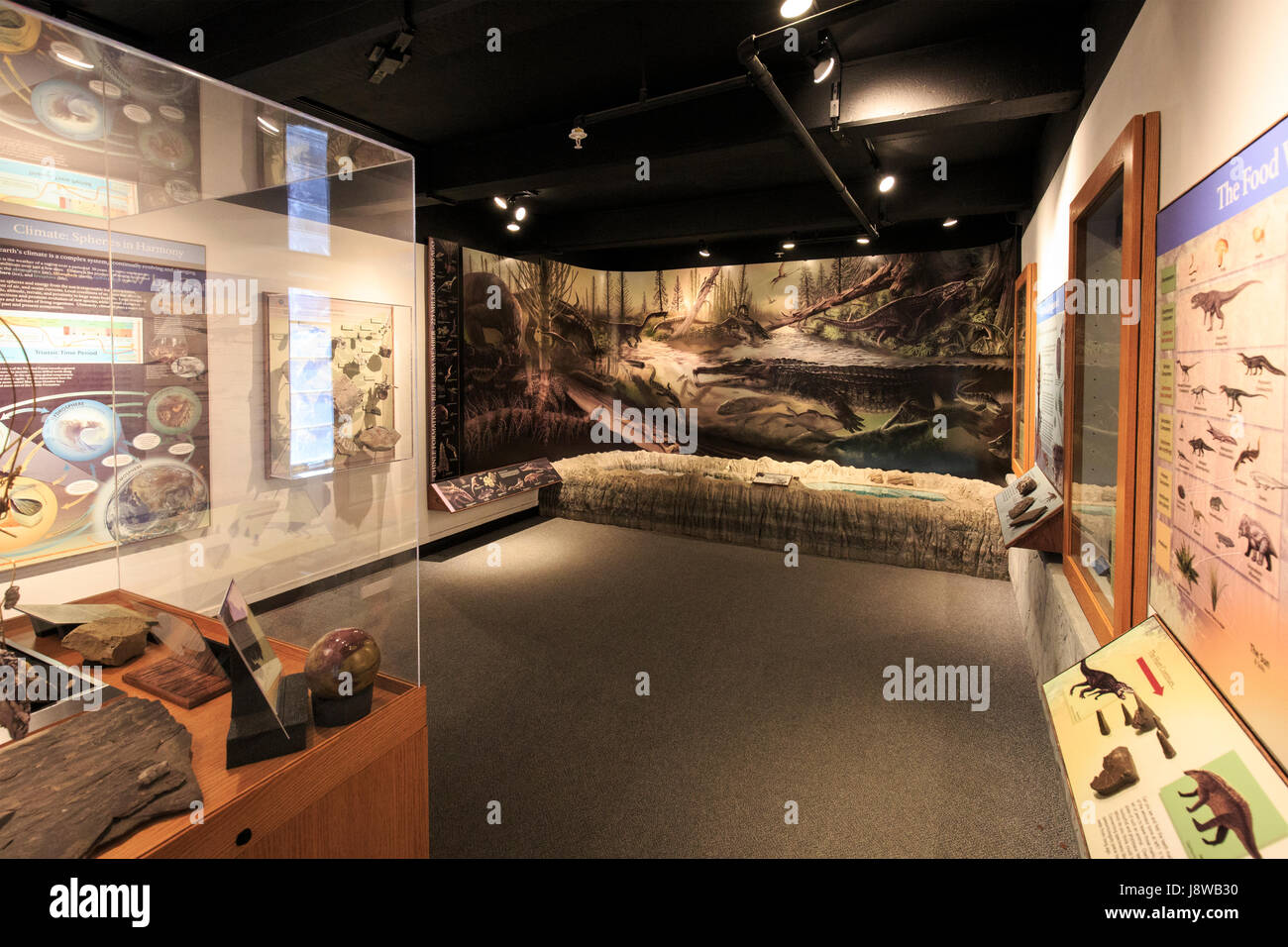 Displays at the visitor center and museum at Petrified Forest National