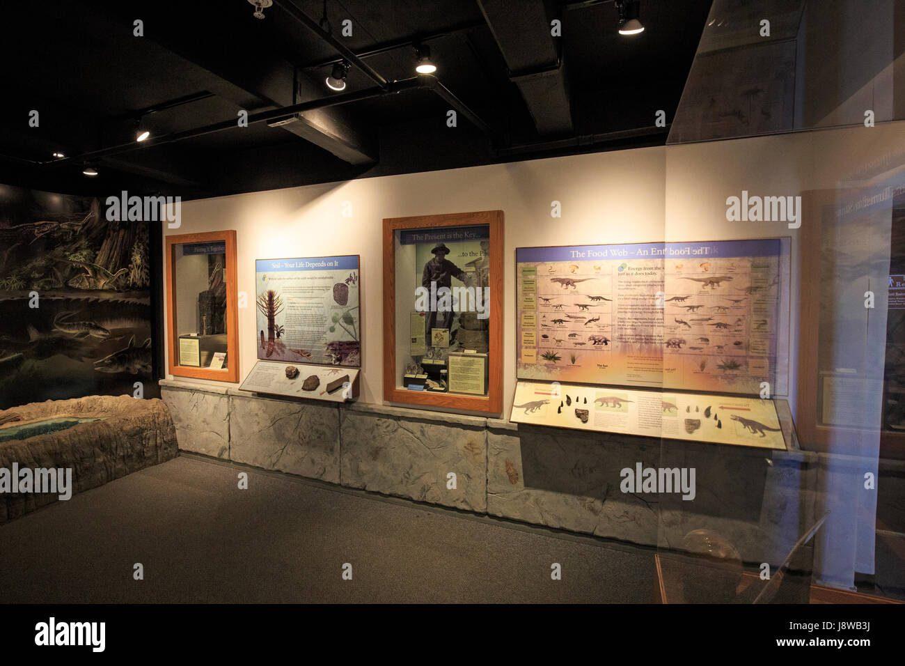 Displays at the visitor center and museum at Petrified Forest National