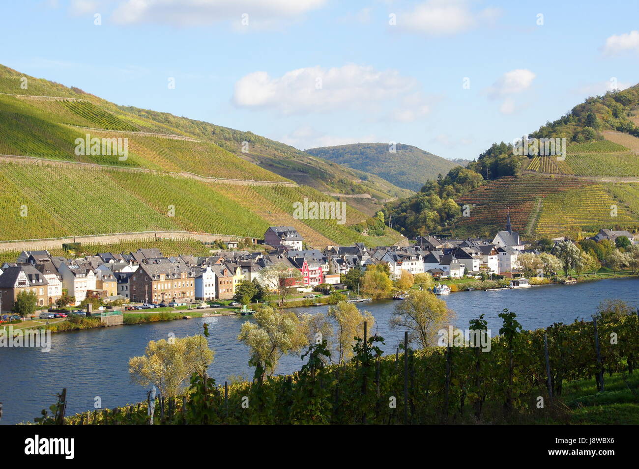 vineyard, mosel, river, water, fall, autumn, cultivation of wine, vineyard, Stock Photo