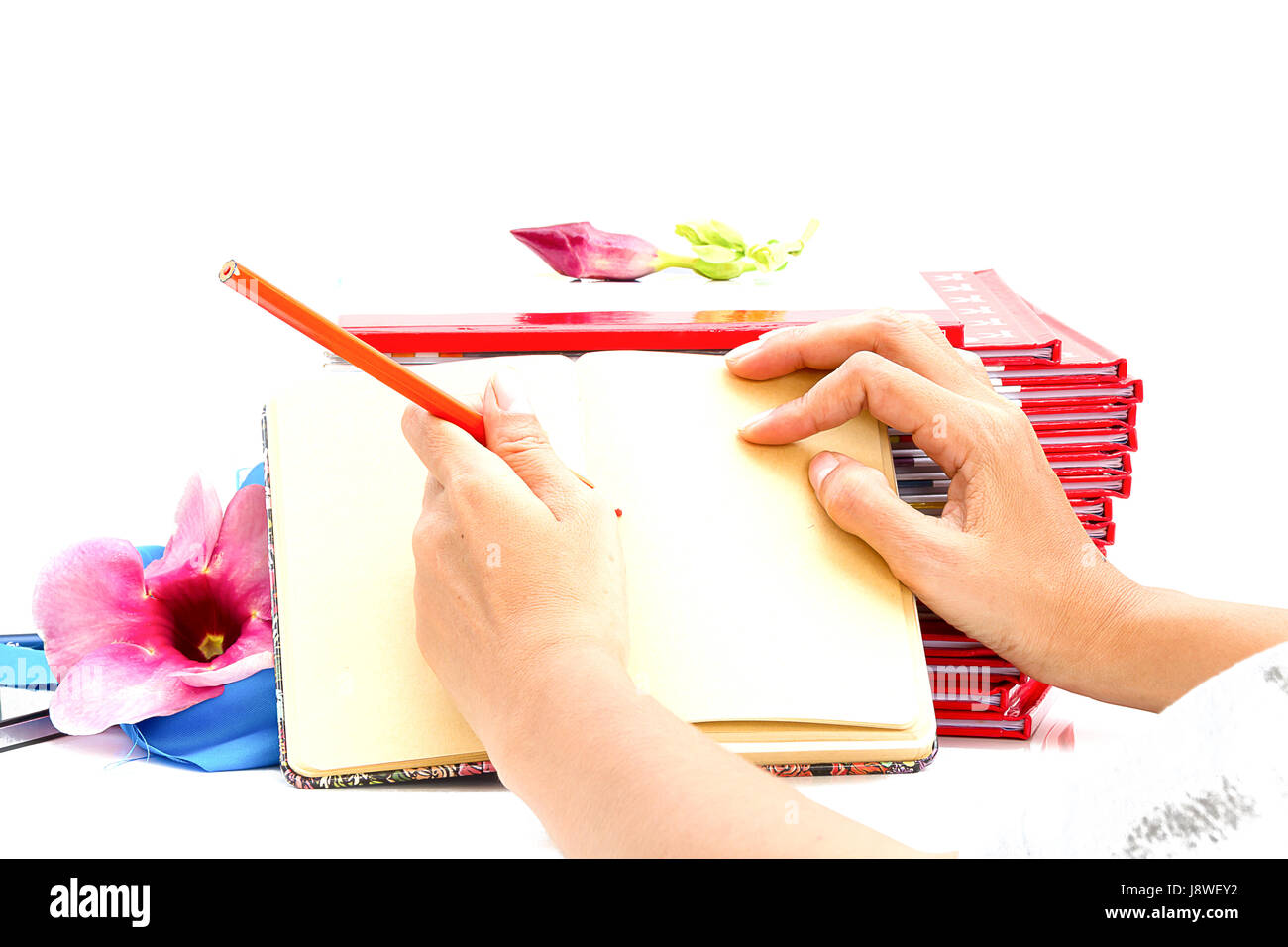 woman hand holding pen writting on book Stock Photo - Alamy