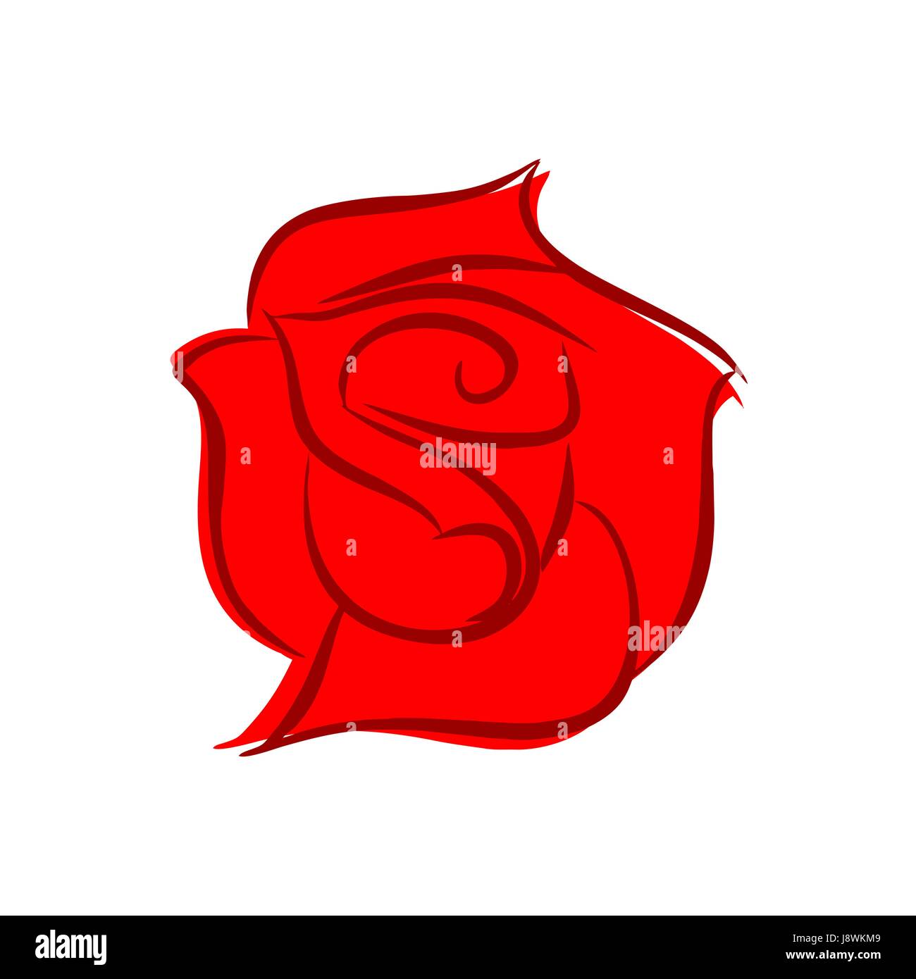 Red rose isolated. Flower on white background Stock Vector Image & Art ...