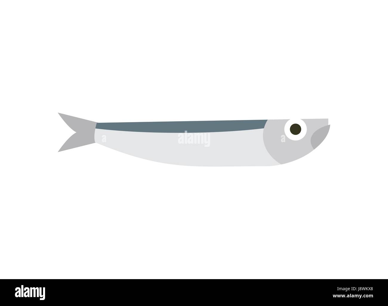 Anchovy isolated. small fish on white background Stock Vector