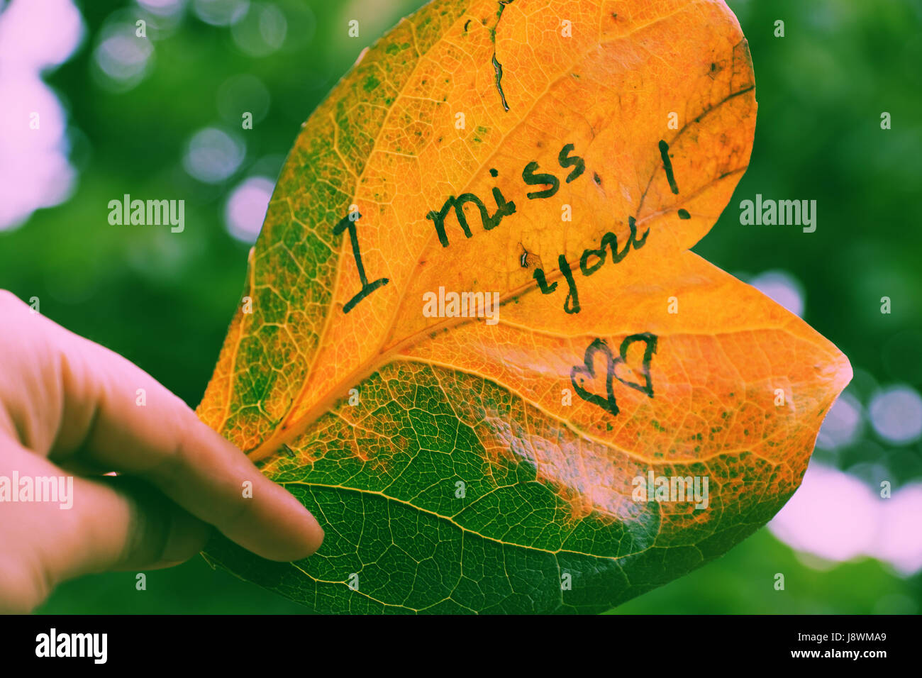 Woman Hand Hold Old Leaf With The Word Is I Miss You Miss U Message 
