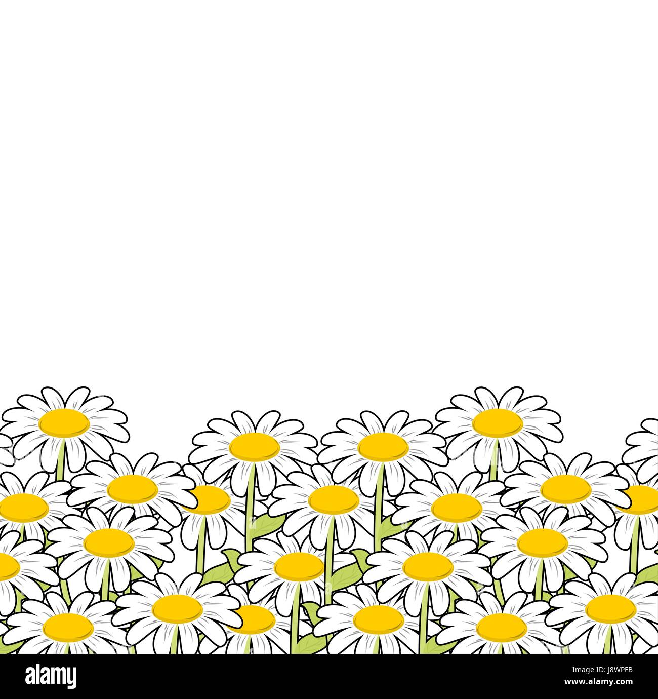 Chamomile. White flowers summer meadow. Beautiful wild flowers. Summer landscape and flowers. Stock Vector