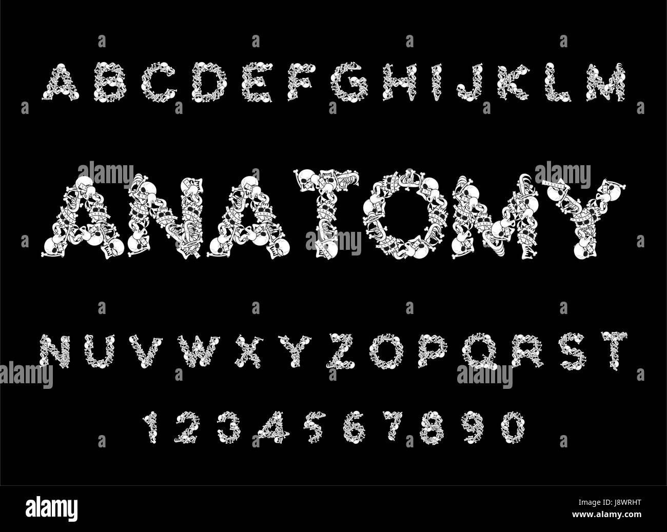 Anatomy font. Skeleton ABC. Letters Bones. Skull and spine. Jaw and pelvis. Hell Scary alphabet Stock Vector
