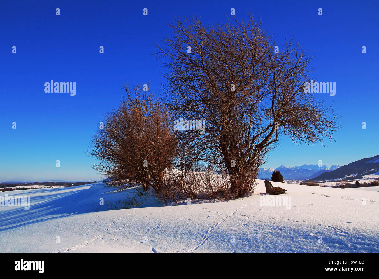 a bank with great views Stock Photo