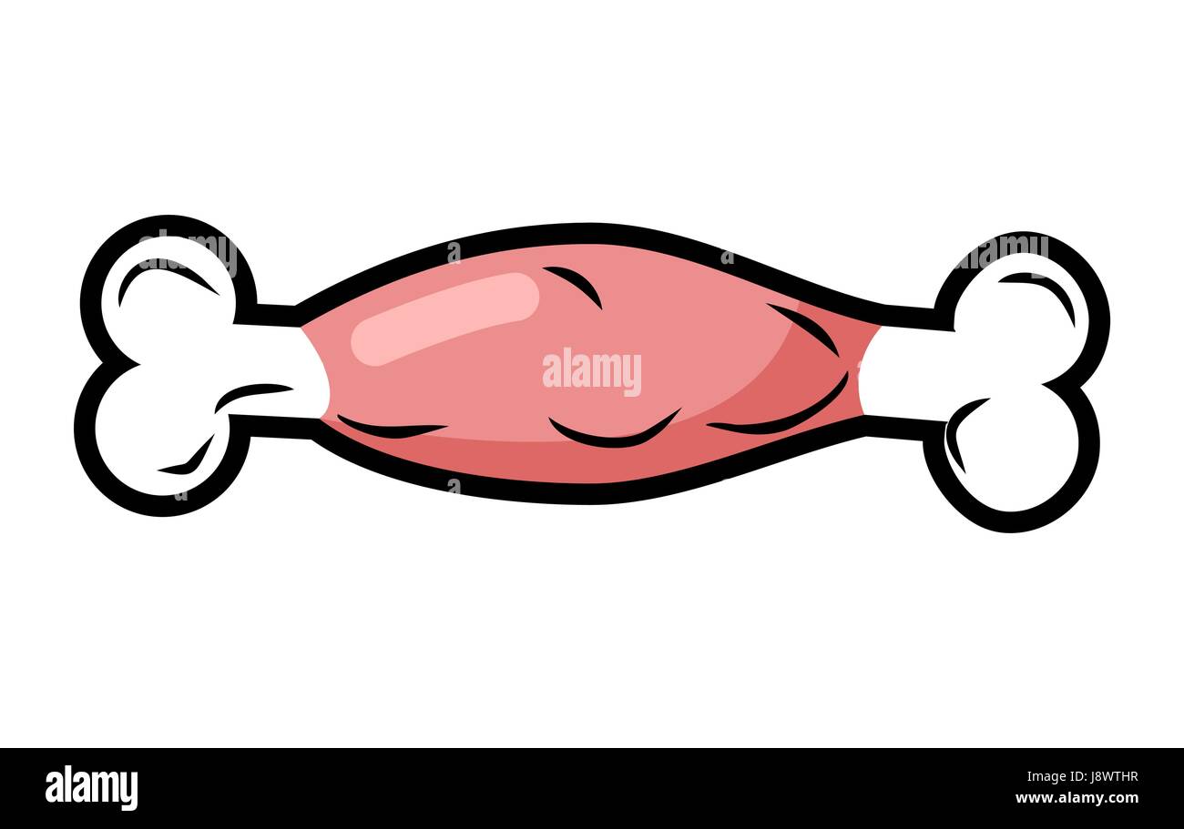 Meat on bone isolated. Fresh pork cartoon style. Piece of beef on white