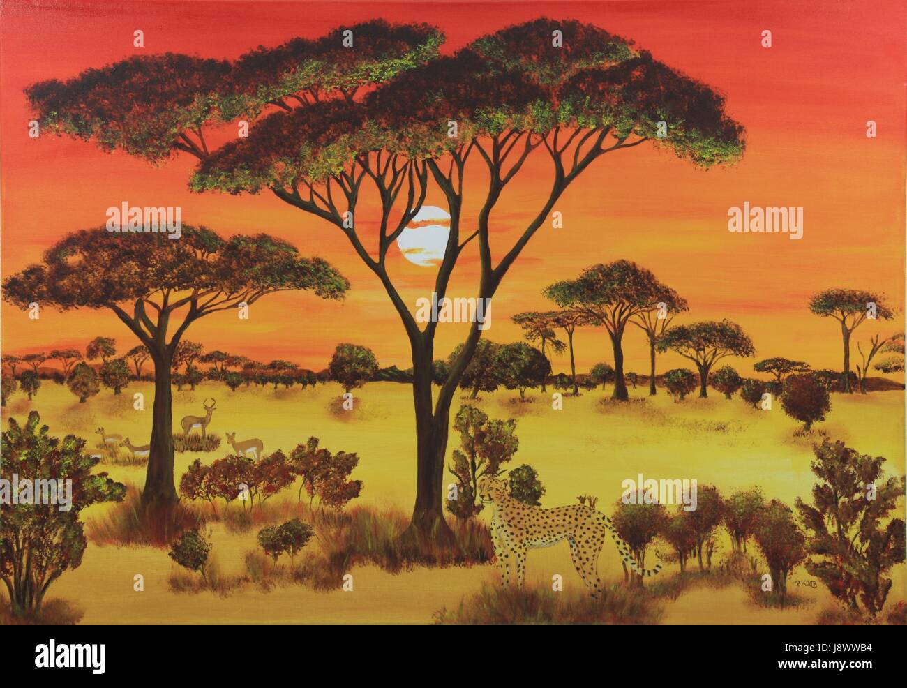 sunset, africa, sunrise, cat, big cat, feline predator, cheetah, acacia tree, Stock Photo
