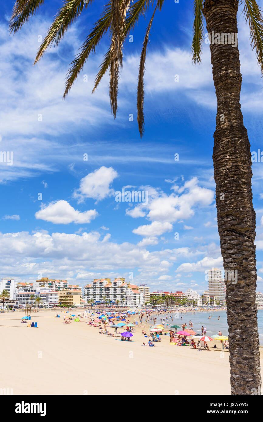 Palm tree framed beach scene, Playa Norte, Peniscola, Spain Stock Photo