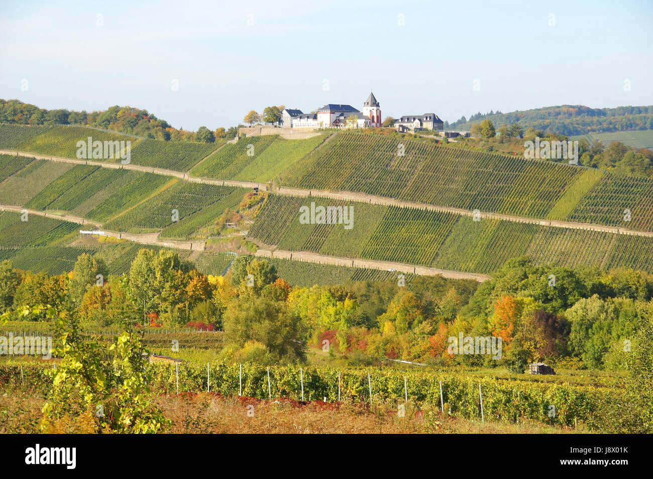marienburg with vineyards Stock Photo