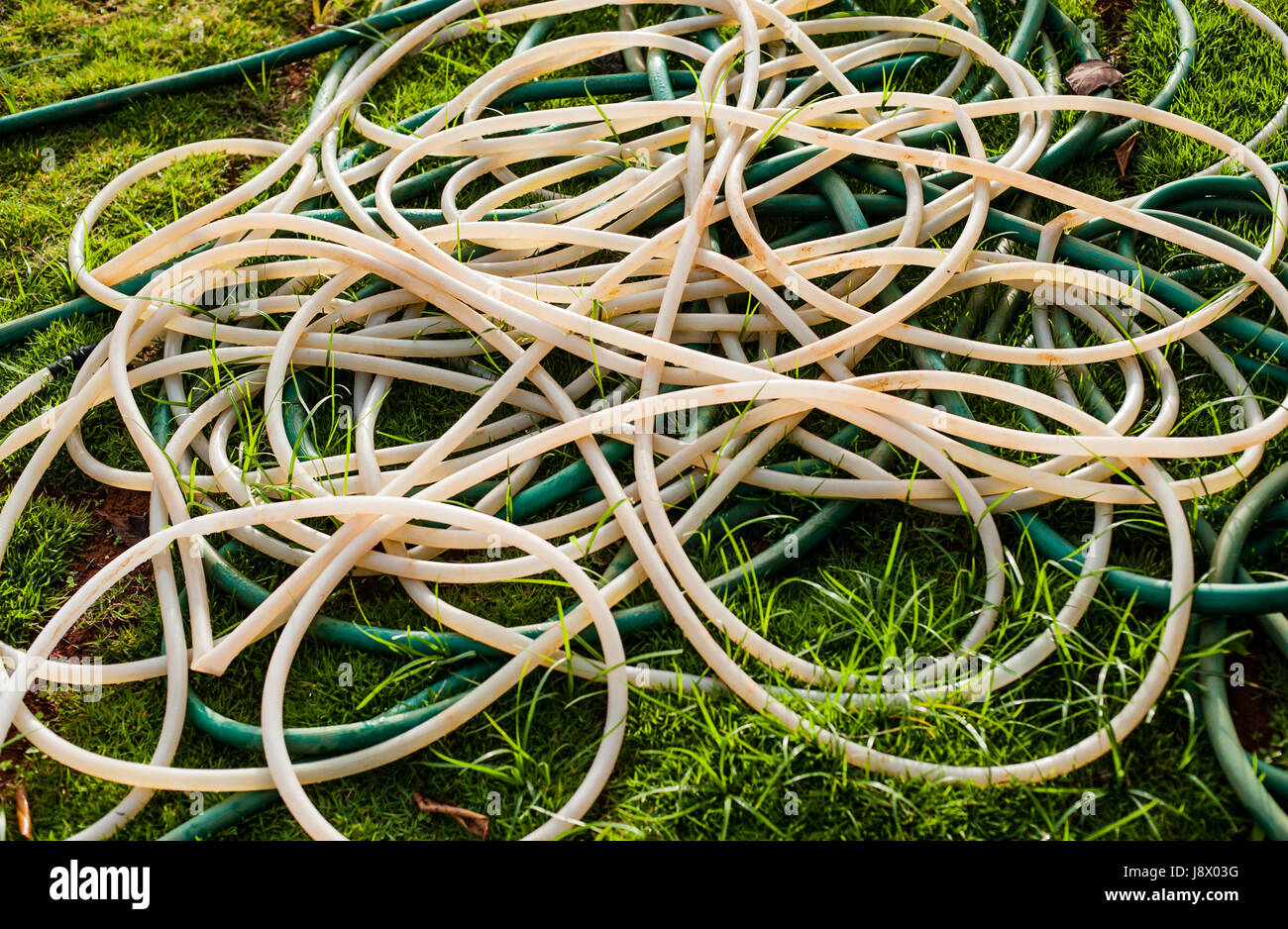 Cerulean rubber tube (water hoses) on green grass, abstract Stock Photo