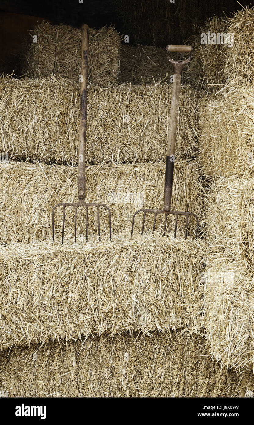 Straw for feeding animals, detail of a food background on a farm