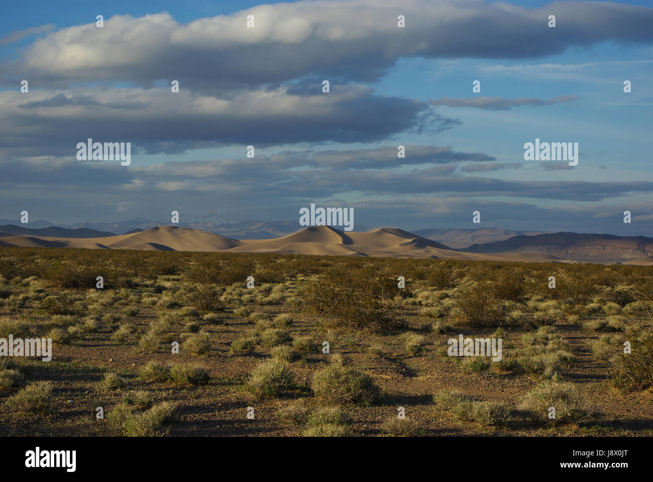 big dunes south of beatty,nevada Stock Photo Alamy